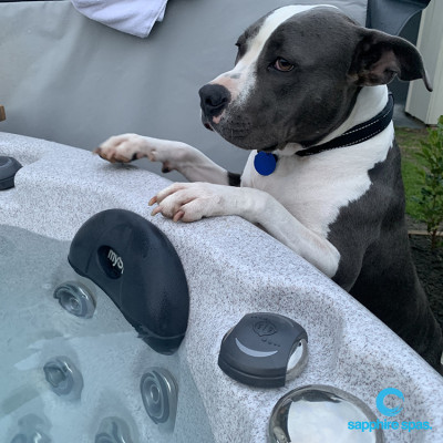 I just want to play too!! thanks to the team @ Bermuda Lifestyle Hawkes Bay NZ